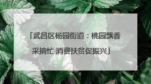 武昌区杨园街道：桃园飘香采摘忙 消费扶贫促振兴