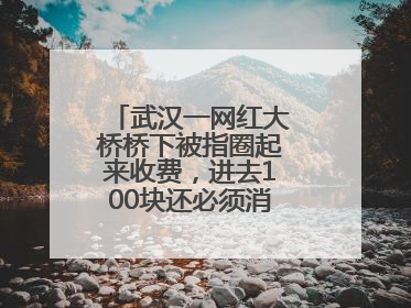 武汉一网红大桥桥下被指圈起来收费，进去100块还必须消费？当地回应