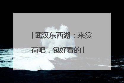 武汉东西湖：来赏荷吧，包好看的