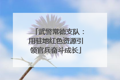 武警常德支队：用驻地红色资源引领官兵奋斗成长