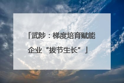 武陟：梯度培育赋能企业“拔节生长”