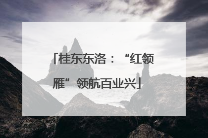 桂东东洛：“红领雁”领航百业兴
