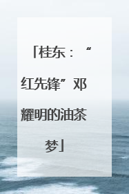 桂东：“红先锋”邓耀明的油茶梦