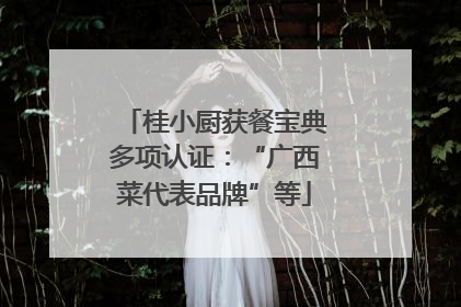 桂小厨获餐宝典多项认证：“广西菜代表品牌”等