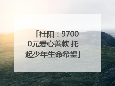 桂阳：97000元爱心善款 托起少年生命希望