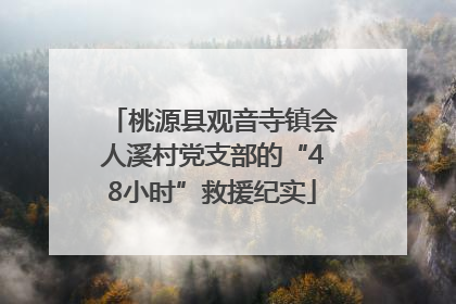桃源县观音寺镇会人溪村党支部的“48小时”救援纪实
