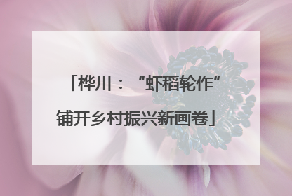 桦川：“虾稻轮作”铺开乡村振兴新画卷