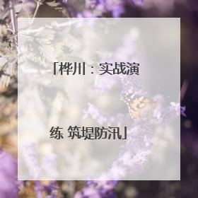 桦川：实战演练 筑堤防汛