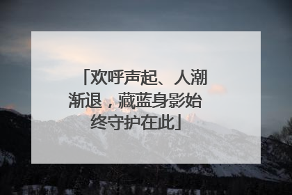 欢呼声起、人潮渐退，藏蓝身影始终守护在此