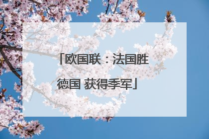 欧国联：法国胜德国 获得季军