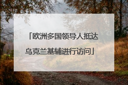 欧洲多国领导人抵达乌克兰基辅进行访问