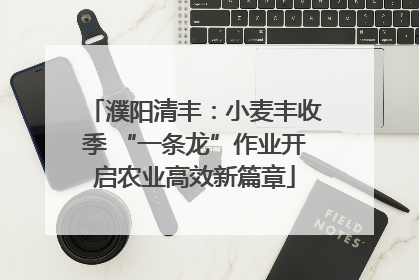 濮阳清丰：小麦丰收季 “一条龙”作业开启农业高效新篇章