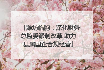 潍坊临朐：深化财务总监委派制改革 助力县属国企合规经营