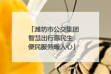 潍坊市公交集团智慧出行惠民生 便民服务暖人心