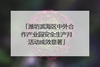 潍坊滨海区中外合作产业园安全生产月活动成效显著
