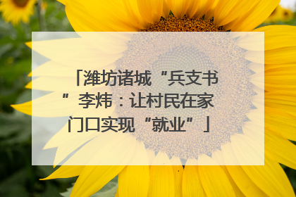 潍坊诸城“兵支书”李炜：让村民在家门口实现“就业”
