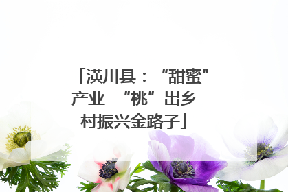 潢川县：“甜蜜”产业  “桃”出乡村振兴金路子