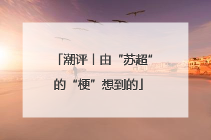 潮评丨由“苏超”的“梗”想到的
