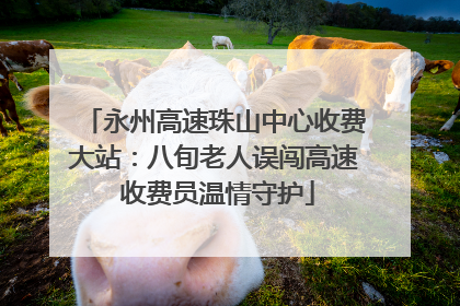 永州高速珠山中心收费大站：八旬老人误闯高速 收费员温情守护