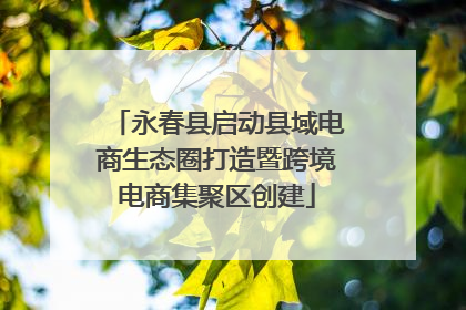 永春县启动县域电商生态圈打造暨跨境电商集聚区创建