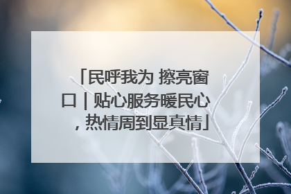 民呼我为 擦亮窗口｜贴心服务暖民心，热情周到显真情