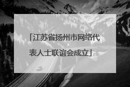 江苏省扬州市网络代表人士联谊会成立