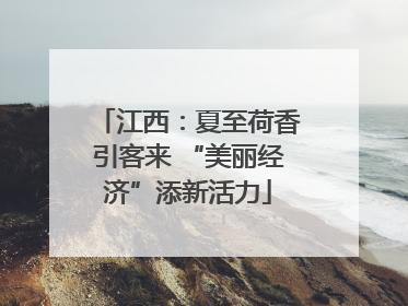 江西：夏至荷香引客来 “美丽经济”添新活力