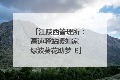 江陵西管理所：高速驿站暖如家 绿波葵花助梦飞
