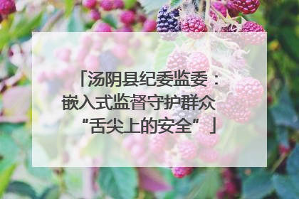 汤阴县纪委监委：嵌入式监督守护群众“舌尖上的安全”