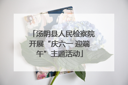 汤阴县人民检察院开展“庆六一 迎端午”主题活动