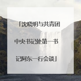 沈晓明与共青团中央书记处第一书记阿东一行会谈