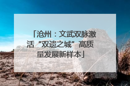 沧州：文武双脉激活“双遗之城”高质量发展新样本