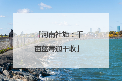 河南社旗：千亩蓝莓迎丰收