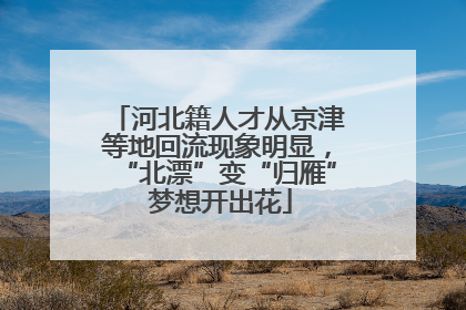 河北籍人才从京津等地回流现象明显，“北漂”变“归雁” 梦想开出花