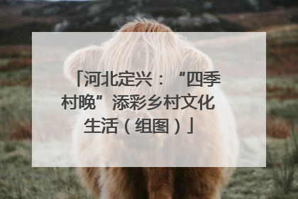 河北定兴：“四季村晚”添彩乡村文化生活（组图）