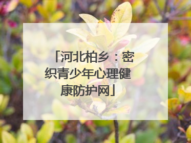 河北柏乡：密织青少年心理健康防护网