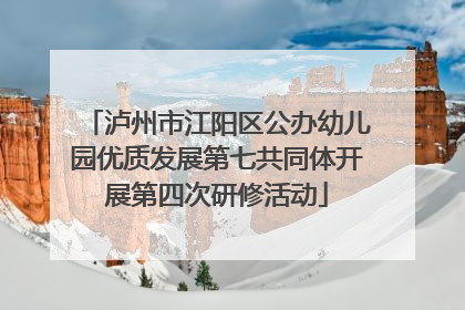 泸州市江阳区公办幼儿园优质发展第七共同体开展第四次研修活动