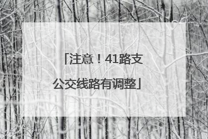 注意！41路支公交线路有调整