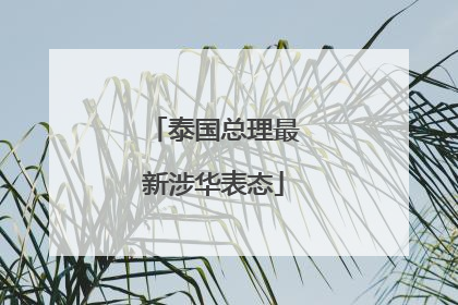 泰国总理最新涉华表态