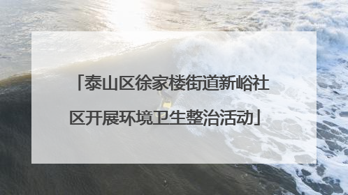 泰山区徐家楼街道新峪社区开展环境卫生整治活动