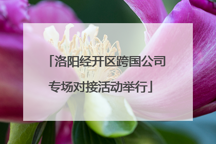 洛阳经开区跨国公司专场对接活动举行