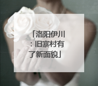 洛阳伊川：旧寨村有了新面貌
