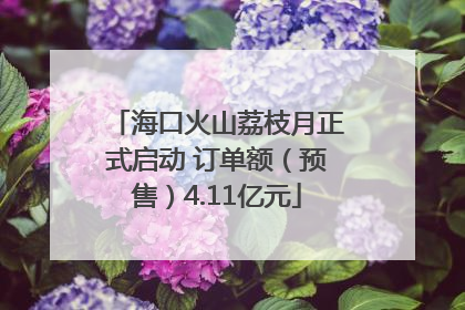 海口火山荔枝月正式启动 订单额（预售）4.11亿元