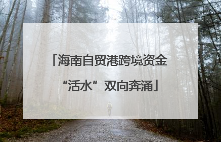 海南自贸港跨境资金“活水”双向奔涌
