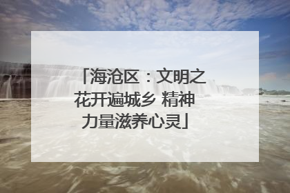 海沧区：文明之花开遍城乡 精神力量滋养心灵