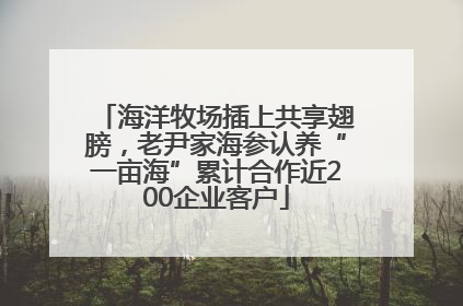 海洋牧场插上共享翅膀，老尹家海参认养“一亩海”累计合作近200企业客户