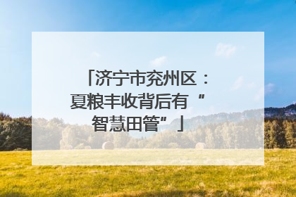济宁市兖州区：夏粮丰收背后有“智慧田管”