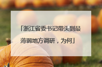浙江省委书记带头到最薄弱地方调研，为何