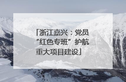 浙江嘉兴：党员“红色专班”护航重大项目建设