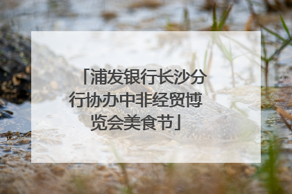 浦发银行长沙分行协办中非经贸博览会美食节